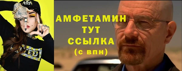 сатива Алагир