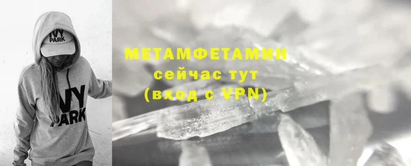 индика Козельск