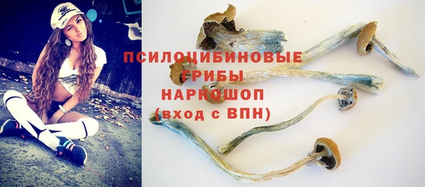 трава Козловка