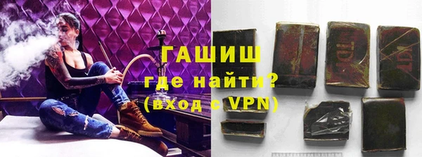 сатива Алагир