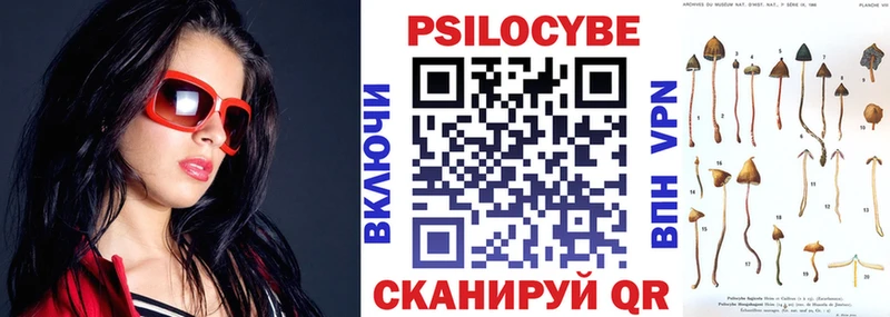 Галлюциногенные грибы Psilocybine cubensis  Долинск 